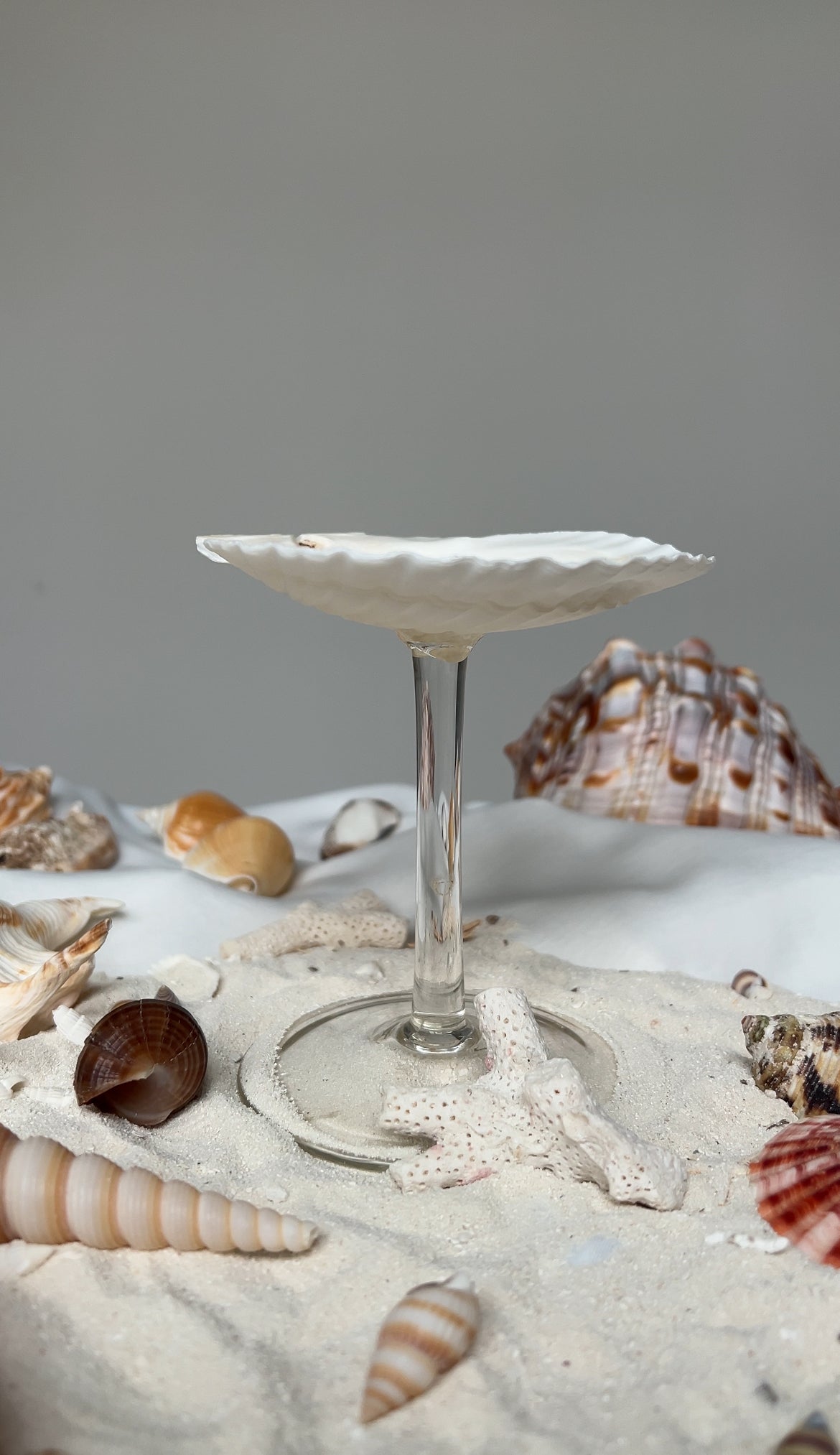 Mermaid’s Toast Martini Glass