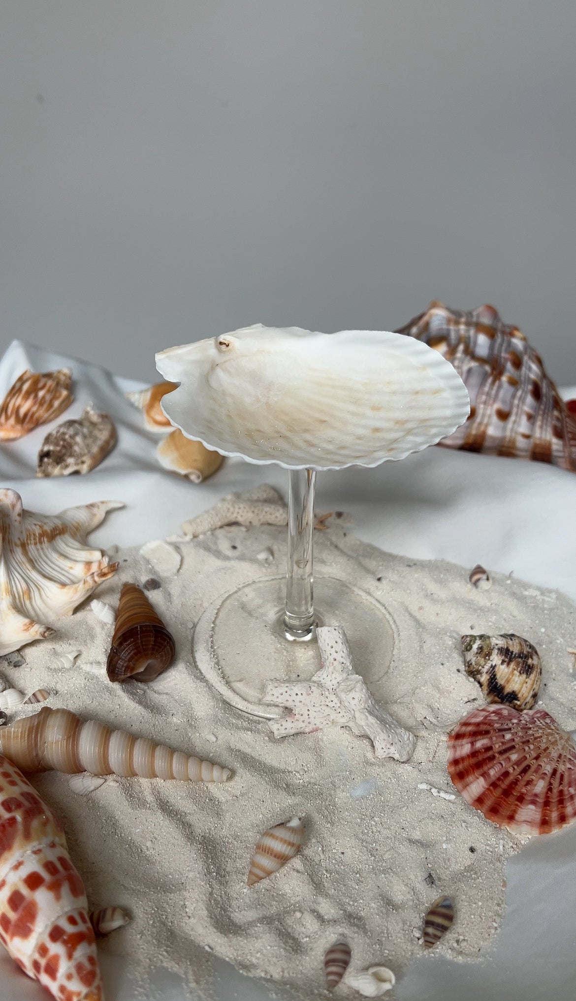 Mermaid’s Toast Martini Glass